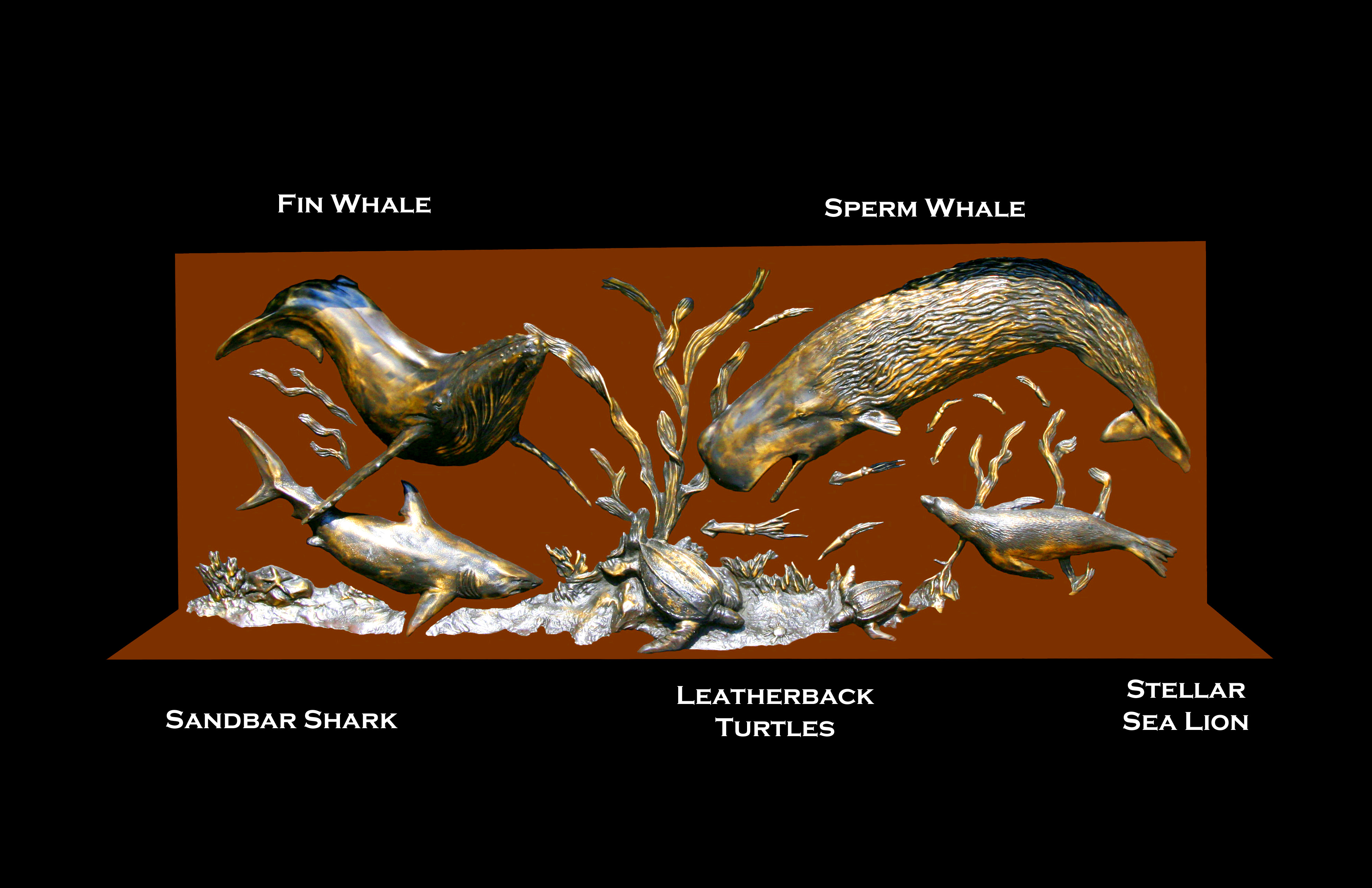 whale panel